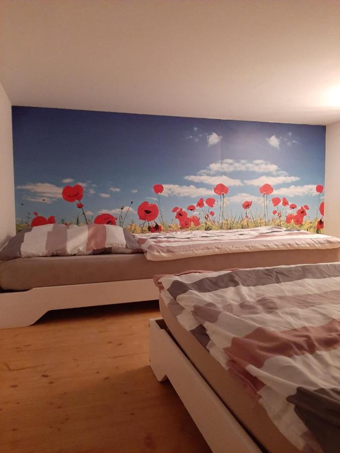 Hostel Airport Oberglatt Екстериор снимка