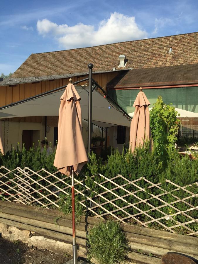 Hostel Airport Oberglatt Екстериор снимка